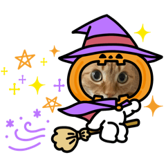 [LINEスタンプ] たまそらハロウィン