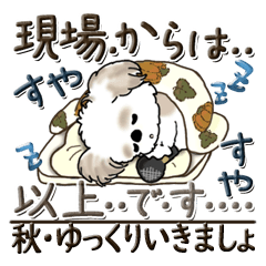 [LINEスタンプ] シーズー犬【秋ですね】2024