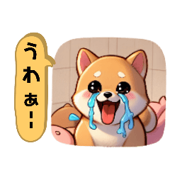 [LINEスタンプ] かわいい♡柴犬ちゃん