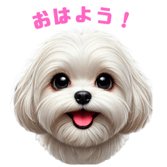 [LINEスタンプ] 表情豊かなワンコたち！