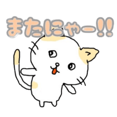 [LINEスタンプ] 色々使えるねこちゃんスタンプ1