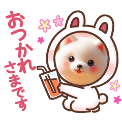 [LINEスタンプ] しろいわんこ♡人気♡犬大集合☆