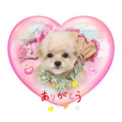 [LINEスタンプ] タレ目のテディさん♡4