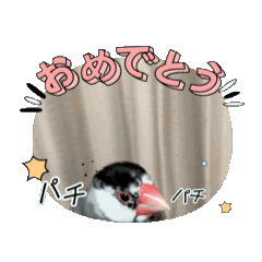 [LINEスタンプ] 文鳥ブラザーズ2