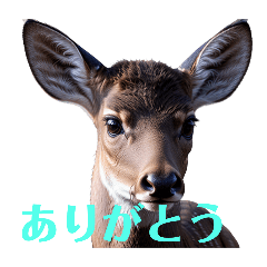 [LINEスタンプ] しか.