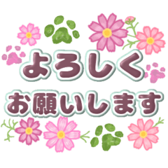 [LINEスタンプ] 華やかコスモスと秋の肉球