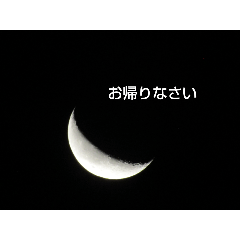 [LINEスタンプ] つき氏