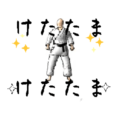 [LINEスタンプ] けたたましい空手4