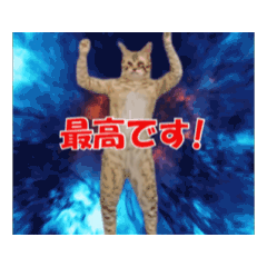 [LINEスタンプ] 宇宙で踊るネコさん。カオスなスタンプ