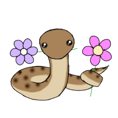[LINEスタンプ] ゆるーいヘビちゃん②