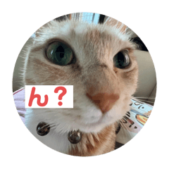 [LINEスタンプ] teamとりのすあたま