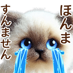 [LINEスタンプ] 関西弁やで♡羊毛ラグドールの日常連絡