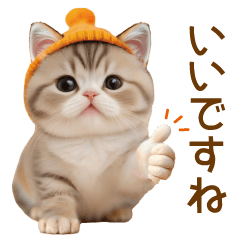 [LINEスタンプ] みかんニット帽 スコティッシュ猫たち 敬語