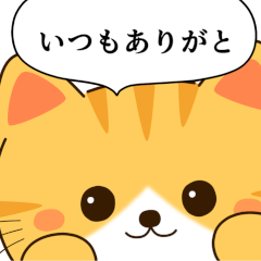 [LINEスタンプ] ありがとうスタンプ（がちゃねこ）