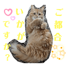 [LINEスタンプ] 敬語むぎ様stamp