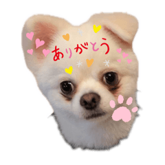 [LINEスタンプ] ルビーくん⭐︎