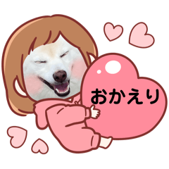 [LINEスタンプ] こじこてこと 2024