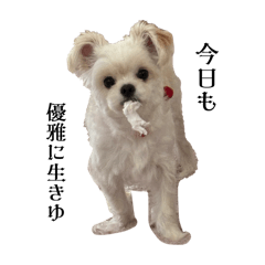 [LINEスタンプ] 優雅なわんこむぎ