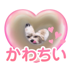 [LINEスタンプ] ペキプーのもち（2）