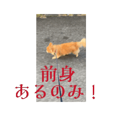 [LINEスタンプ] マロン7070-01