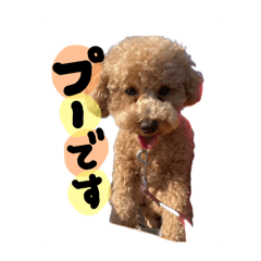 [LINEスタンプ] 鈴木プースタンプ