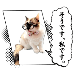 [LINEスタンプ] ねこのぱとちゃんウニちゃん⑦