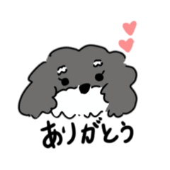 [LINEスタンプ] kurumin_シュナウザーの可愛い日常フレーズ