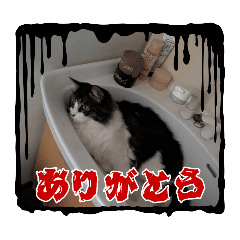 [LINEスタンプ] たびきじはな