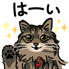 [LINEスタンプ] 毎日使える！ ねこのチビさん