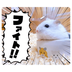 [LINEスタンプ] お友だちの はむりん