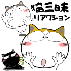 [LINEスタンプ] 猫三昧★リアクションがたっぷりの画像（メイン）