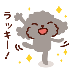 [LINEスタンプ] トイプードル色々 _ 元気がでるスタンプ