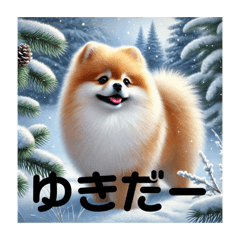 [LINEスタンプ] 雪ポメラニアン