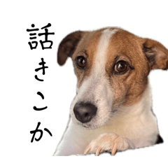 [LINEスタンプ] オレオ.s