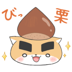 [LINEスタンプ] のりまゆシリーズ2(秋・お仕事)