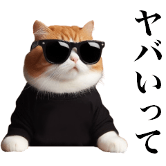 [LINEスタンプ] 危機感ねこ