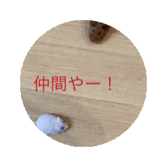 [LINEスタンプ] ねずおの日常の追加スタンプ