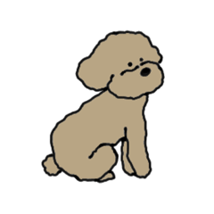 [LINEスタンプ] toy poodle nico simple