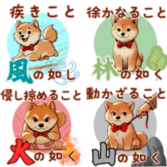 [LINEスタンプ] 毎日使える楽しい柴犬スタンプ