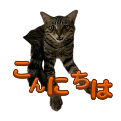 [LINEスタンプ] LINEの返信お願い(猫の手も借りたい)