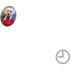 [LINEスタンプ] めるるの文字❸