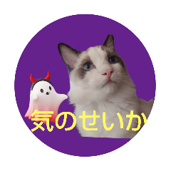 [LINEスタンプ] 猫のミスラムダとベリル（ハロウィン）