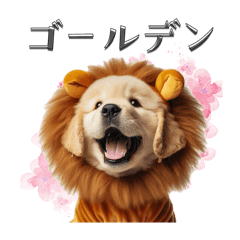 [LINEスタンプ] ライオンになりきったゴールデン（子犬）