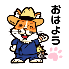 [LINEスタンプ] bossくんのねこ活実践心理学♡の仲間達⑥