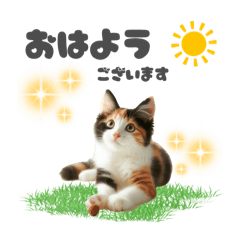 [LINEスタンプ] 三毛猫スタンプ 日常編3