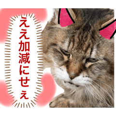 [LINEスタンプ] トマくんいろいろ