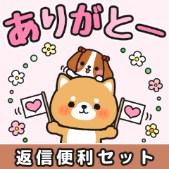 [LINEスタンプ] すぐに返信♪即レス便利 #柴犬クッキー2の画像（メイン）