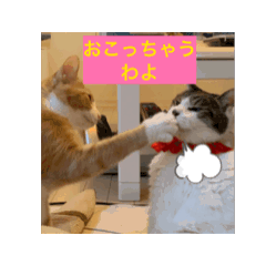 [LINEスタンプ] 伊藤家のねこさん