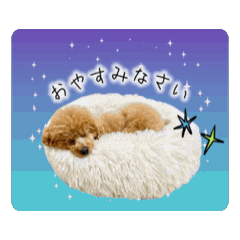 [LINEスタンプ] ペニ子☆スタンプ1016