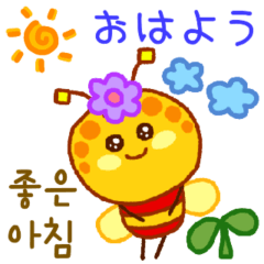 [LINEスタンプ] カボチャBZの毎日の会話（日本語、韓国語）